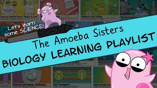 Amoeba Sisters Biology Learning Playlist Introduction [upl. by Naitsihc]