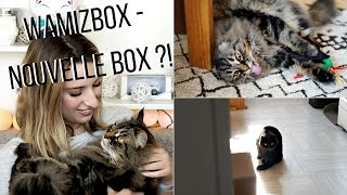 WAMIZ BOX  Nouvelle box pour chats [upl. by Sivrad]