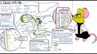 Colecistite e Colangite Patologia complicações diagnóstico e tratamento [upl. by Lede]