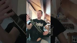 Accept  Balls to The Wall accept ballstothewall metal metalcover heavymetal guitarcover [upl. by Eened]