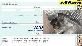 VCDS exhaust flap test [upl. by Tessa]