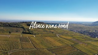 ALSACE  Route des Vins [upl. by Cynthie604]