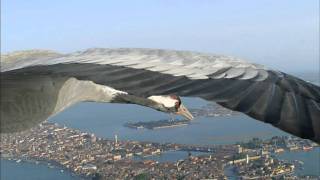 Flying Alongside Common Cranes Over Venice [upl. by Teryn563]