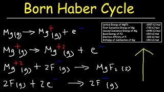 Born Haber Cycle Basic Introduction Lattice Energy Hess Law amp Enthalpy of Formation  Chemistry [upl. by Ardnoel229]