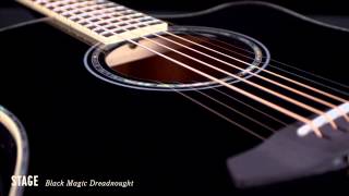 Breedlove Acoustic Guitars Stage Black Magic Dreadnought Guitar [upl. by Borlow]