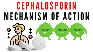 Cephalosporin explained  classification mechanism of action [upl. by Ledeen616]