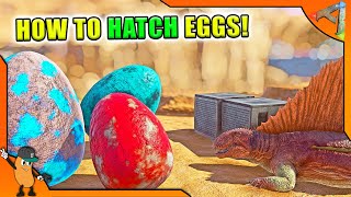 HOW TO HATCH EGGS IN ARK  4 METHODS  Ark Survival Evolved Beginners Guide [upl. by Zenger]