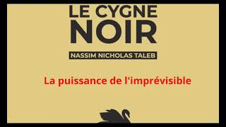 Le Cygne noir La puissance de limprévisible PART I [upl. by Nonek307]