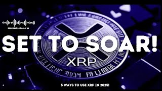 XRP The Ultimate Guide to CrossBorder Payments [upl. by Nebra]