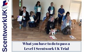 Scentwork L1 Trial [upl. by Marylinda]