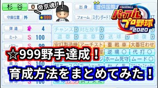 【パワプロ2020】☆999野手育成方法まとめ。立ち回り方などを解説してみました。【サクセス：提供国際大学】 [upl. by Letha]