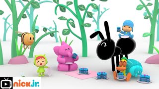 Pocoyo  Bumbleberry Surprise  Nick Jr UK [upl. by Eisor]