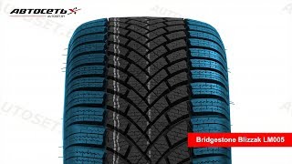 Обзор зимней шины Bridgestone Blizzak LM005 ● Автосеть ● [upl. by Ashling]