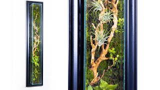 DIY Living Wall Moss Terrarium [upl. by Sucramd]