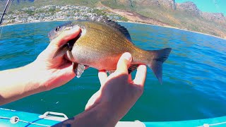 Cape Bream  Hottentot catch and cook [upl. by Reteip]