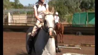 My horse riding mixTiK ToK D [upl. by Luas]