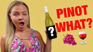 Pinot Grigio vs Pinot Gris  Best Sweet Wines for Beginners [upl. by Dafodil]