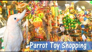 PARROT TOY SHOPPING Parrot store tour vlog [upl. by Acnaib730]