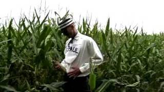 Deleted Scene from Field of Dreams [upl. by Nuhs]