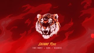 Timmy Trumpet x KSHMR x Mildenhaus  Ininna Tora Official Audio [upl. by Tonie665]