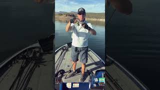 Roosevelt Lake Fishing Tips [upl. by Trembly932]