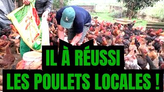 RÉUSSIR LÉLEVAGE DES POULET LOCAUX VOICI 7 ÉTAPES MAJEURS 🐔 [upl. by Casey]