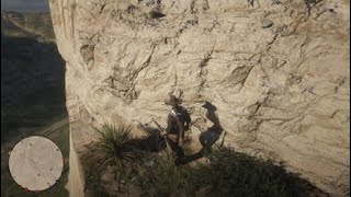 Red Dead Redemption bird killed by touch [upl. by Jordan]