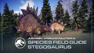 Species Field Guide  Stegosaurus  Jurassic World Evolution 2 [upl. by Notnilk]