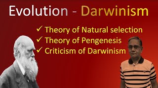 DARWINISM [upl. by Mariska]