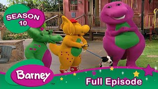 Barney  FULL Episode  Pets  Season 10 [upl. by Barrada]