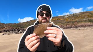 West Wales  Shore Fishing For Pembrokeshire Plaice amp Dabs From The Beach [upl. by Adarbil]