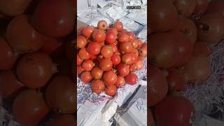 Today fruits rates 😍😋  Edhi Yaaparam  Pavan Kumar Undamatla [upl. by Isaiah]