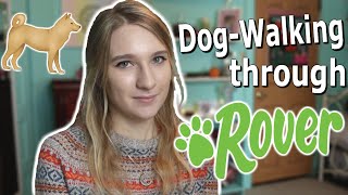 Dog Walking through Rover  Everything you need to know [upl. by Faye175]