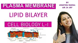 Lipid Bilayer Part 1Cell Biology L IPlasma membrane Types of lipid in membraneAsymmetry [upl. by Nylodnewg726]