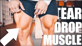 LEG DAY TRAINING  VASTUS MEDIALIS [upl. by Noizneb542]