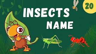 Insects Name In English  Insects Name [upl. by Panter681]