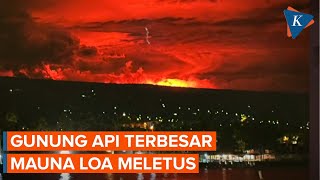 Mauna Loa Gunung Api Terbesar di Dunia Meletus di Hawaii Pertama Sejak 40 Tahun [upl. by Okoyk141]