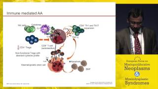 MDS The Current Understanding in Molecular Testing and Biomarkers [upl. by Florance]