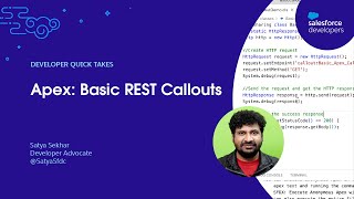 Apex Basic REST Callouts  Developer Quick Takes [upl. by Millham]