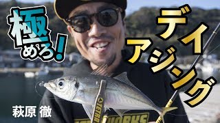 極めろ！デイアジング！日中で釣る！in 福岡県相島 [upl. by Irrok]