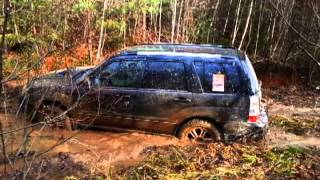 Subaru Forester SG in deep mud [upl. by Tewell922]