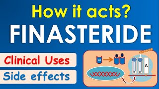 Finasteride  How it acts  Mechanism side effects amp uses [upl. by Corell]