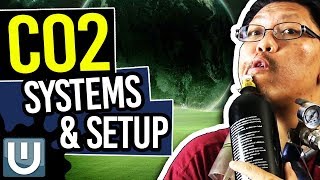 Co2 Systems and Setup  The Ultimate Aquarium Co2 Guide  Part 2 [upl. by Bilac]