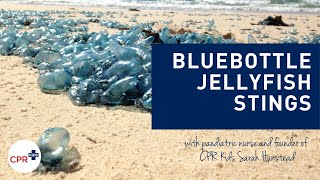 Bluebottle Jellyfish stings what to do if your child is stung [upl. by Bosch567]