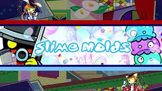 SYUNN 「Slime Molds」 [upl. by Lesser648]