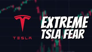 Tesla Stock EXTREME fear is here Great News Today [upl. by Dearborn692]