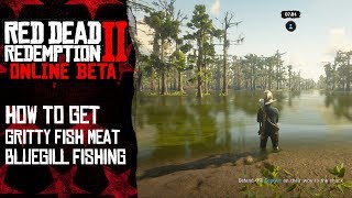 How to get quotGritty Fish Meatquot  Red Dead Redemption 2 Online [upl. by Harp]