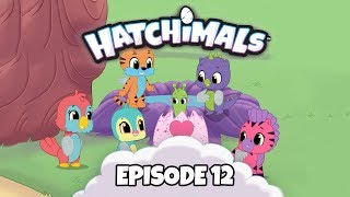 Hatchimals  Episode 12  Babysitting Eggcitement  TEAM HATCH YouTube Series [upl. by Mars]