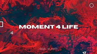 Nicki Minaj  Moment 4 Life Clean  Lyrics ft Drake [upl. by Goldenberg]