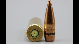 762x51mm 147gr FMJ SalTech Made in Switzerland Review [upl. by Waterer]